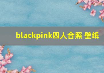 blackpink四人合照 壁纸